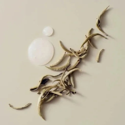 Balsam Leave-In pentru Păr Blond Schwarzkopf BLONDME Bond Repair – Sigilare Vârfuri & Control Anti-Frizz 75ml - Păr