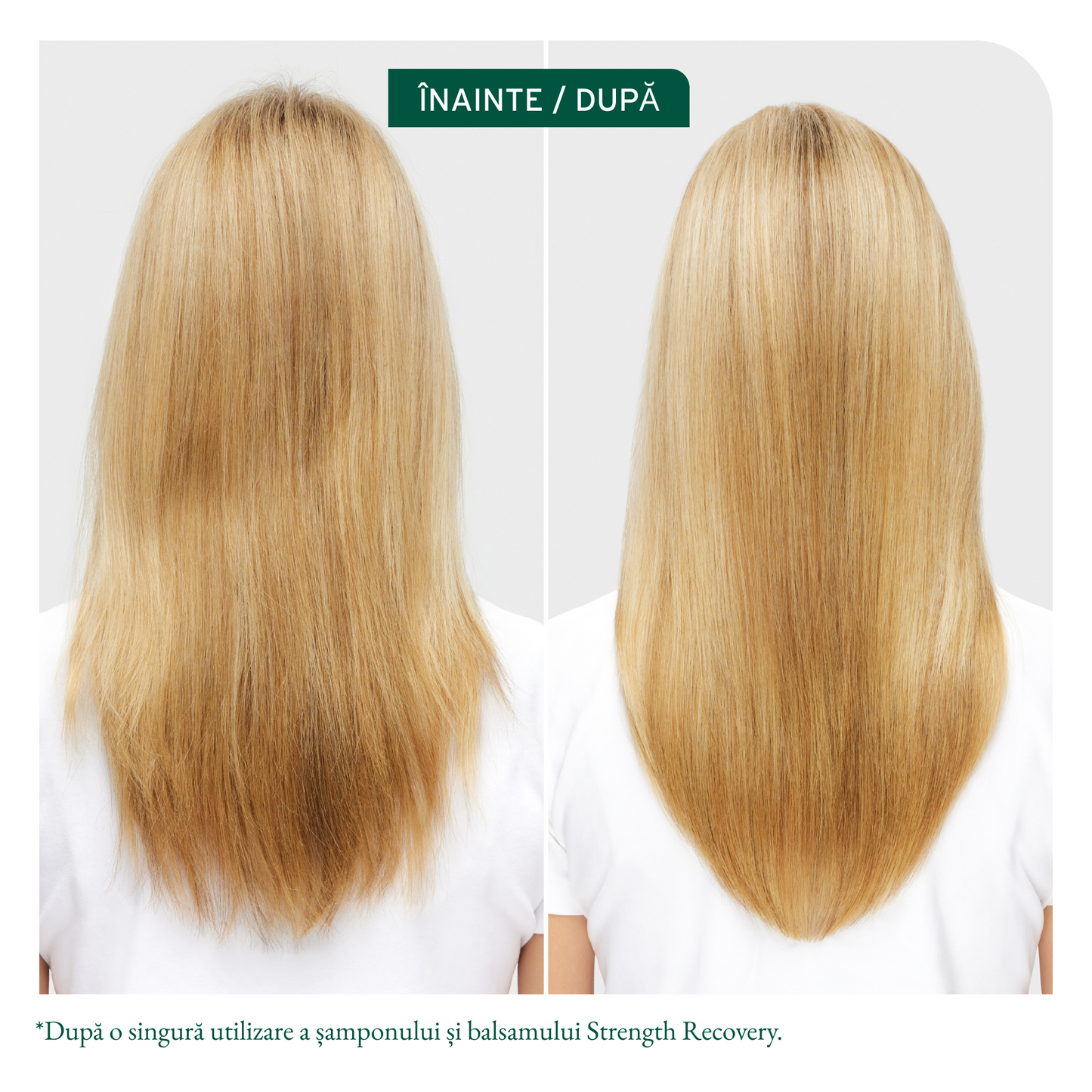 Biolage Strength Recovery Balsam Reparator Profesional 236 ml