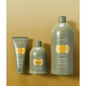 Șampon Iluminator Pentru Părul Rebel Și Indisciplinat AlterEgo CureEgo Silk Oil