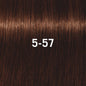 Schwarzkopf Professional Igora Royal Vopsea de Păr Permanentă 60ml Culoare Intensă și Durabilă