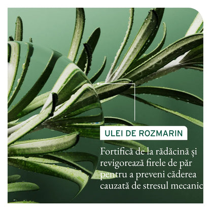 Biolage Full Rescue – Șampon fortifiant anti-cădere cu ulei de rozmarin și niacinamide – 400ml - Păr