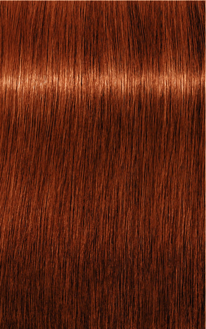 Schwarzkopf Professional Igora Royal Vopsea de Păr Permanentă 60ml Culoare Intensă și Durabilă