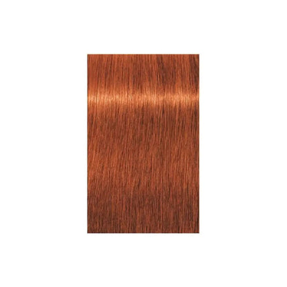 Schwarzkopf Professional Igora Royal Vopsea de Păr Permanentă 60ml Culoare Intensă și Durabilă