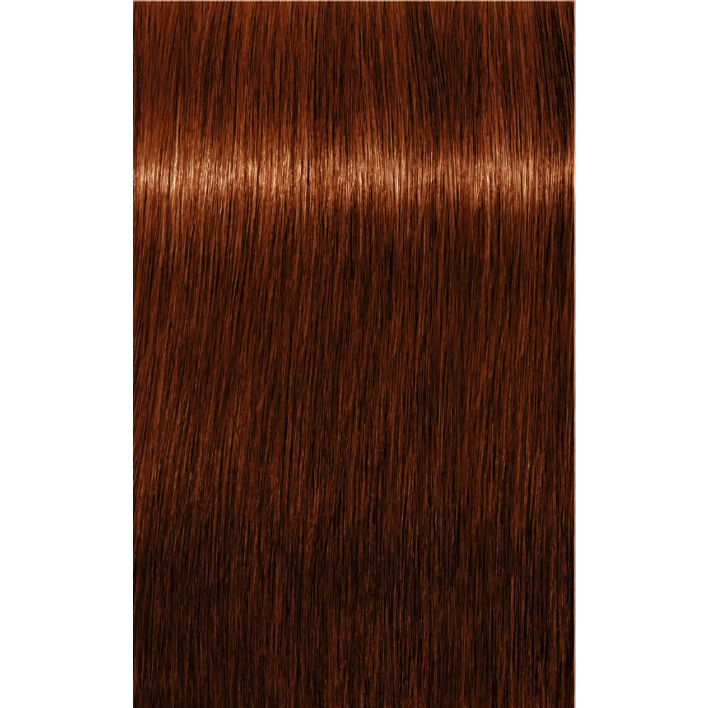 Vopsea De Păr Permanenentă Cu Amoniac Pentru Acoperire Fire Albe Schwarzkopf Professional Igora Royal Absolutes 60ml