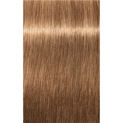 Vopsea De Păr Permanentă Cu Amoniac Schwarzkopf Professional Igora Royal 60ml - 8.65 Blond Deschis Ciocolatiu Auriu