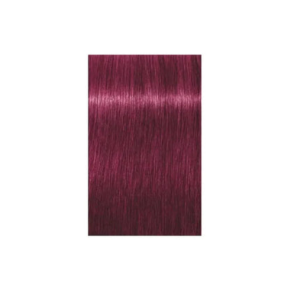 Vopsea De Păr Permanentă Cu Amoniac Schwarzkopf Professional Igora Royal 60ml - 9.98 Blond Foarte Deschis Violet